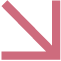 Azione Rienzi Web Agency